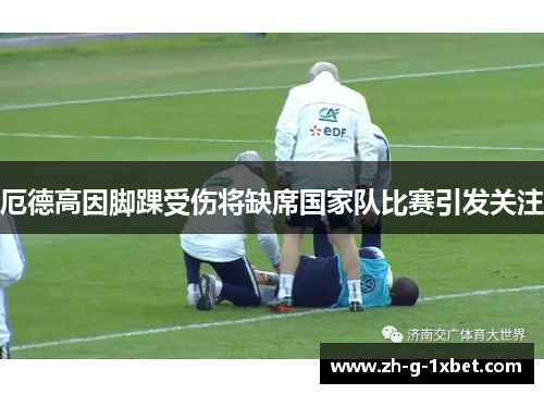 厄德高因脚踝受伤将缺席国家队比赛引发关注