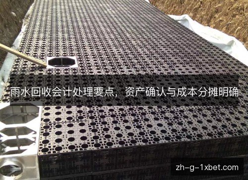 雨水回收会计处理要点,资产确认与成本分摊明确 雨水回收会计处理要点,资产确认与成本分摊明确